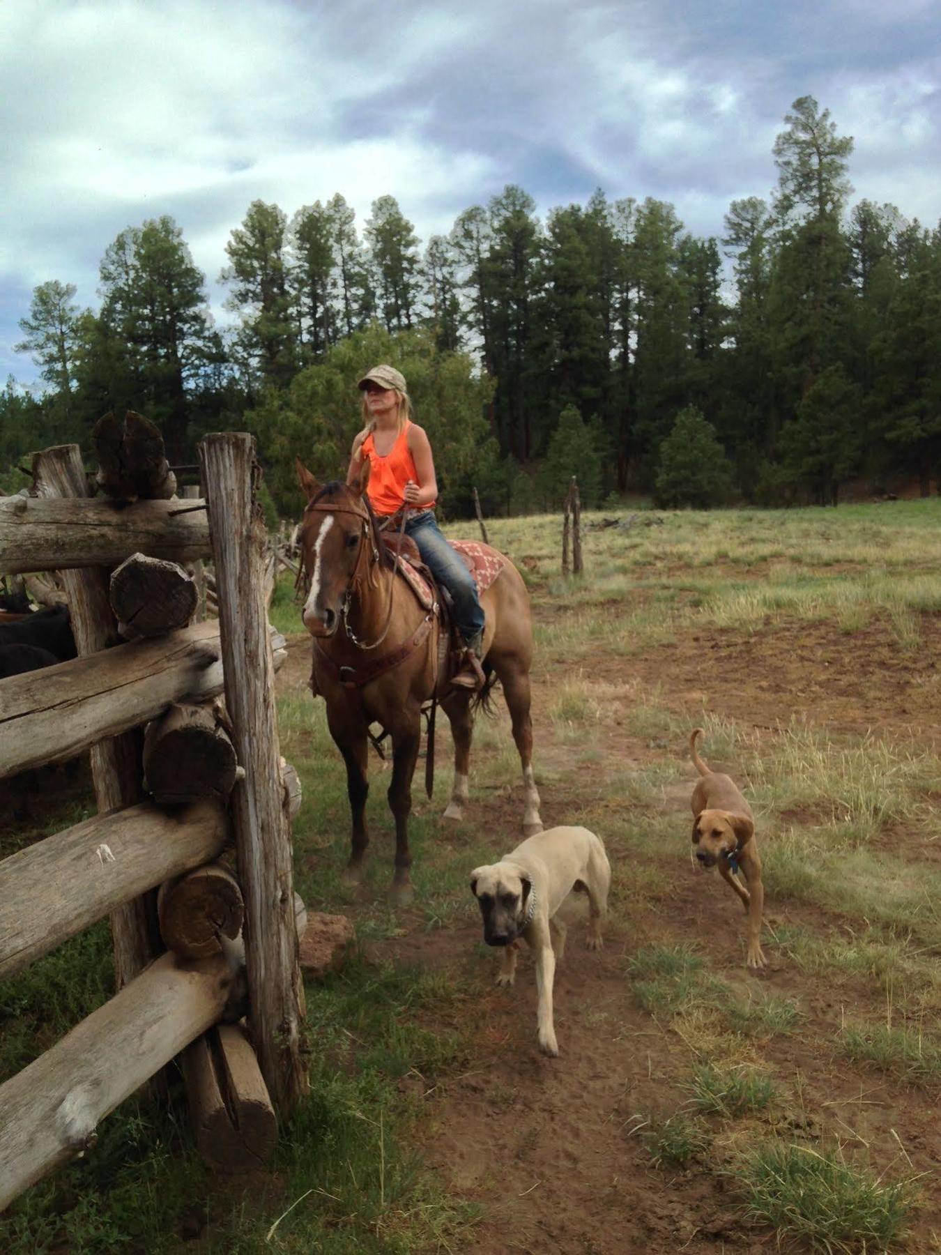 Grand Canyon Ranch & Outfitters Hotel Fredonia Eksteriør billede